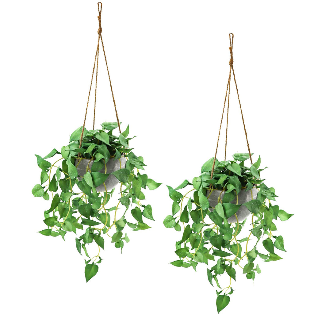 TNNTOPELE Fake Hanging Plants with Pots 2 Pack Artificial Faux Anthurium Leaf Hanging Basket Plant for Wall Home Room Indoor Outdoor Decor